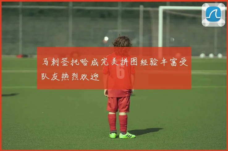 马刺签托哈成完美拼图经验丰富受队友热烈欢迎
