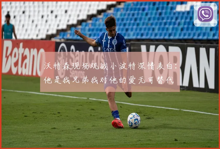 沃特森现场观战小波特深情表白：他是我兄弟我对他的爱无可替代