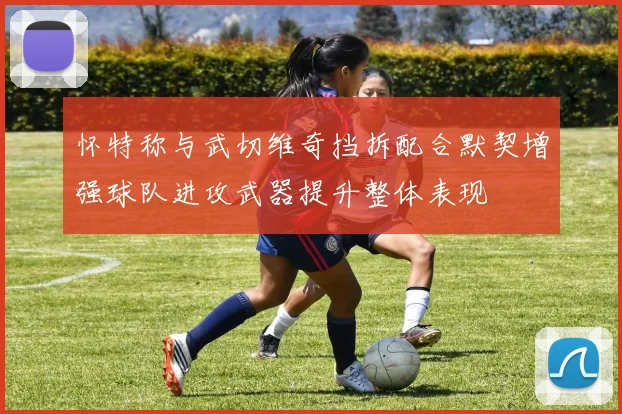 怀特称与武切维奇挡拆配合默契增强球队进攻武器提升整体表现