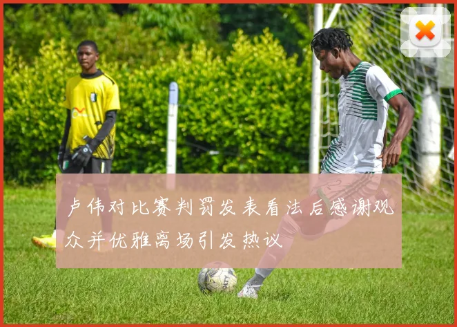 卢伟对比赛判罚发表看法后感谢观众并优雅离场引发热议